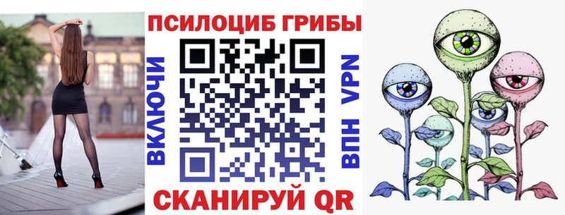 Галлюциногенные грибы Psilocybe  закладки  darknet клад  Темрюк 