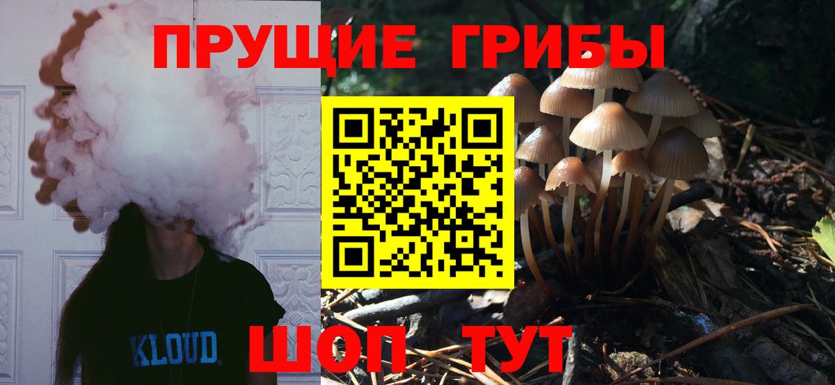 Темрюк  Псилоцибиновые грибы GOLDEN TEACHER  Вход с VPN 